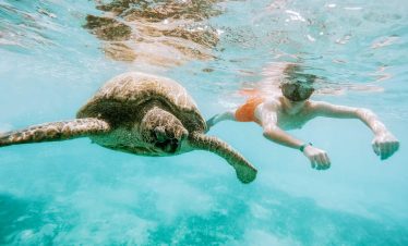 Snorkeling-with-turtles-in-pigeon-island