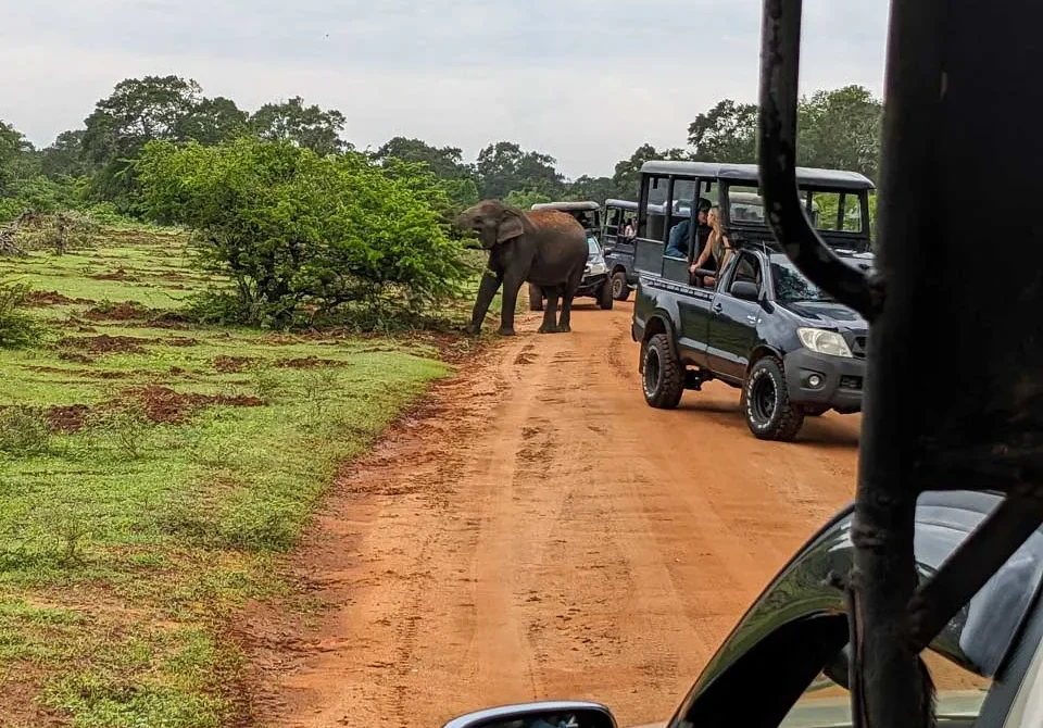 Yala National Park: A Wildlife Lover’s Paradise